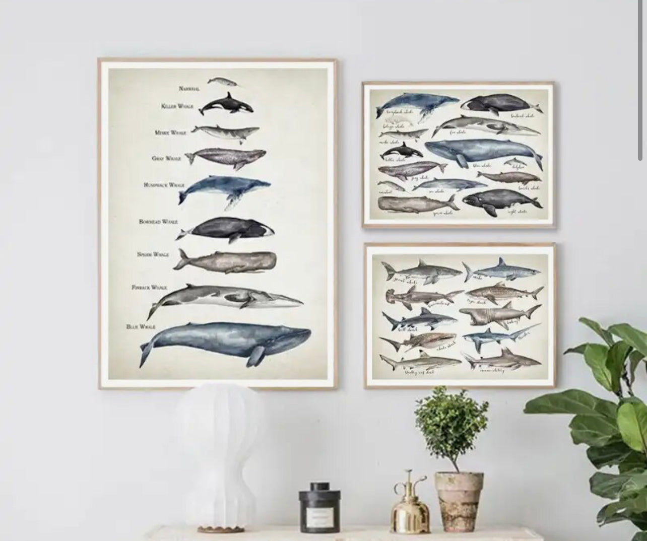 Moby’s Whale Watercolor Painting